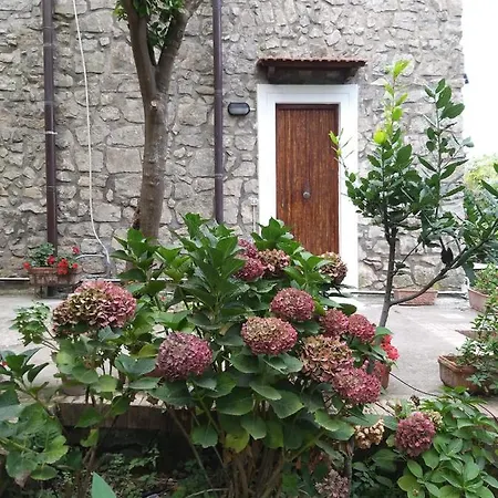 1787 In Montechiaro Frühstückspension Vico Equense